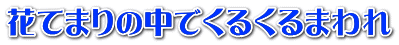 花てまりの中でくるくるまわれ
